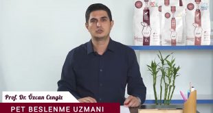 Veteriner Fakültesi Hayvan Besleme ve Beslenme Hastalıkları Anabilim Dalı Başkanı Prof. Dr. Özcan Cengiz mamalara dair sorularımızı yanıtladı