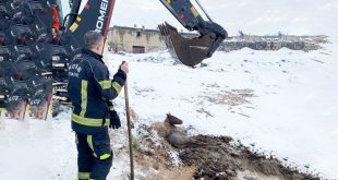 Şehir magandası suç makinası çıktı, Kırmızı ışık cezası, Kayseri OSB İtfaiyesi Bataklığa Saplanan Yılkı Atını Kurtardı,